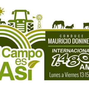 WhatsApp Image 2022-04-08 at 12.16.53 PM